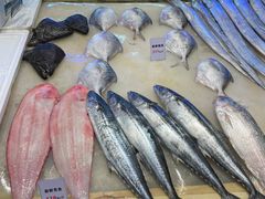 -启东海鲜人家(古美路店)
