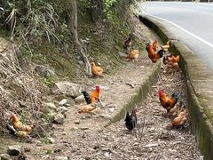 -楠溪江风景名胜区