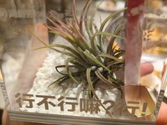 -海底捞火锅(关山保利店)