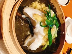 -广州富力君悦大酒店空中花园