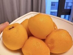 -田螺阿姨自营月嫂·育儿嫂(高新店)