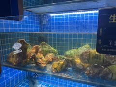 -鸽子侯·家宴·平价海鲜(市图书馆店)