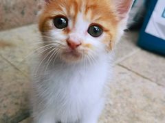 -Le Bistrot de Racine