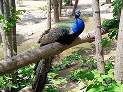 -哈尔滨北方森林动物园