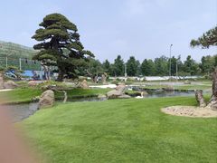 -罗红摄影艺术馆