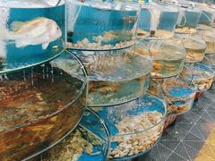 -沿海渔家院海鲜烧烤·东北菜(东戴河店)