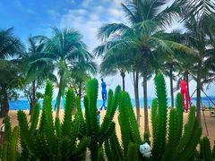 -大梅沙海滨公园