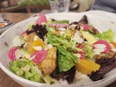 -六月花园咖啡馆(中关村东路店)