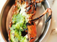 -db Bistro & Oyster Bar by Daniel Boulud(滨海湾金沙店)