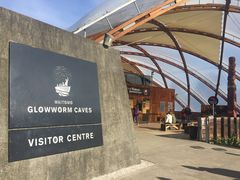 -怀托摩萤火虫洞