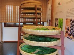-苏州太湖国家湿地公园