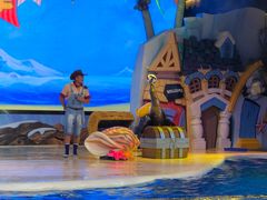 -三亚海昌梦幻海洋不夜城