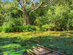 -中国科学院西双版纳热带植物园
