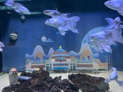 -重庆欢乐海底世界