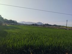 -光明小镇欢乐田园