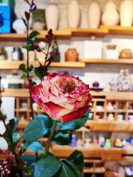 -今日陶艺(富力广场店)