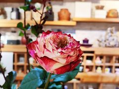 -今日陶艺(富力广场店)