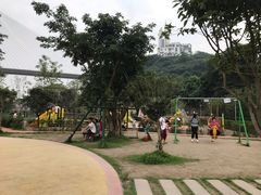 -大渡口区义渡公园