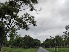 -呈贡滇池生态湿地公园