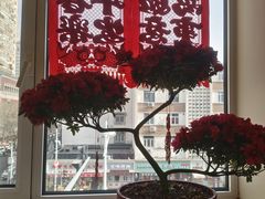 -金阁家常菜(贵阳路店)