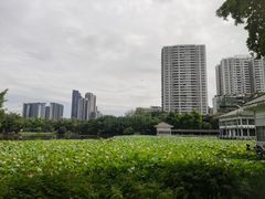 -荔湾湖公园
