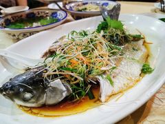 清蒸鲩鱼-五邑人家(江门店)