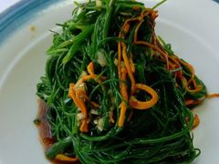 -蒙古大营(朝阳公园店)