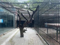 -深圳野生动物园