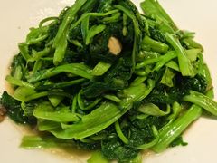 -九福楼大酒店
