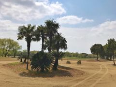 -旭宝高尔夫俱乐部