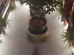 -三只耳火锅(宽窄巷子店)