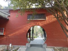 -洛阳白马寺
