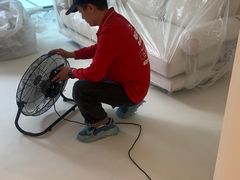 -清新全家甲醛治理(浦东新区店)