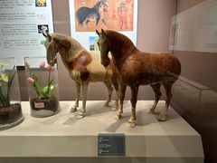 -西安大唐西市博物馆