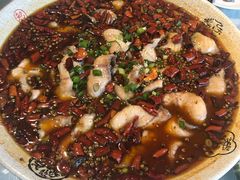 -食客堂麻婆豆腐专门店