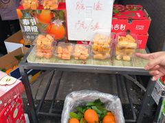 -双福水果批发市场