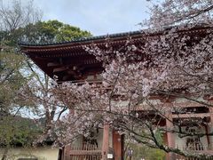 -醍醐寺