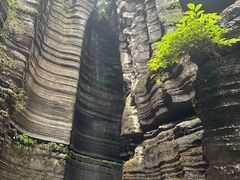 -梭布垭石林景区