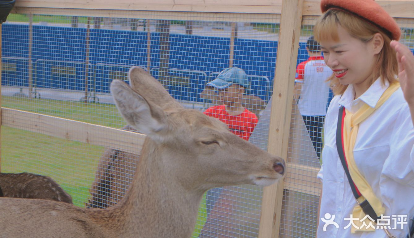 南宁鹿岛公园我来了，凑热闹真的想哭