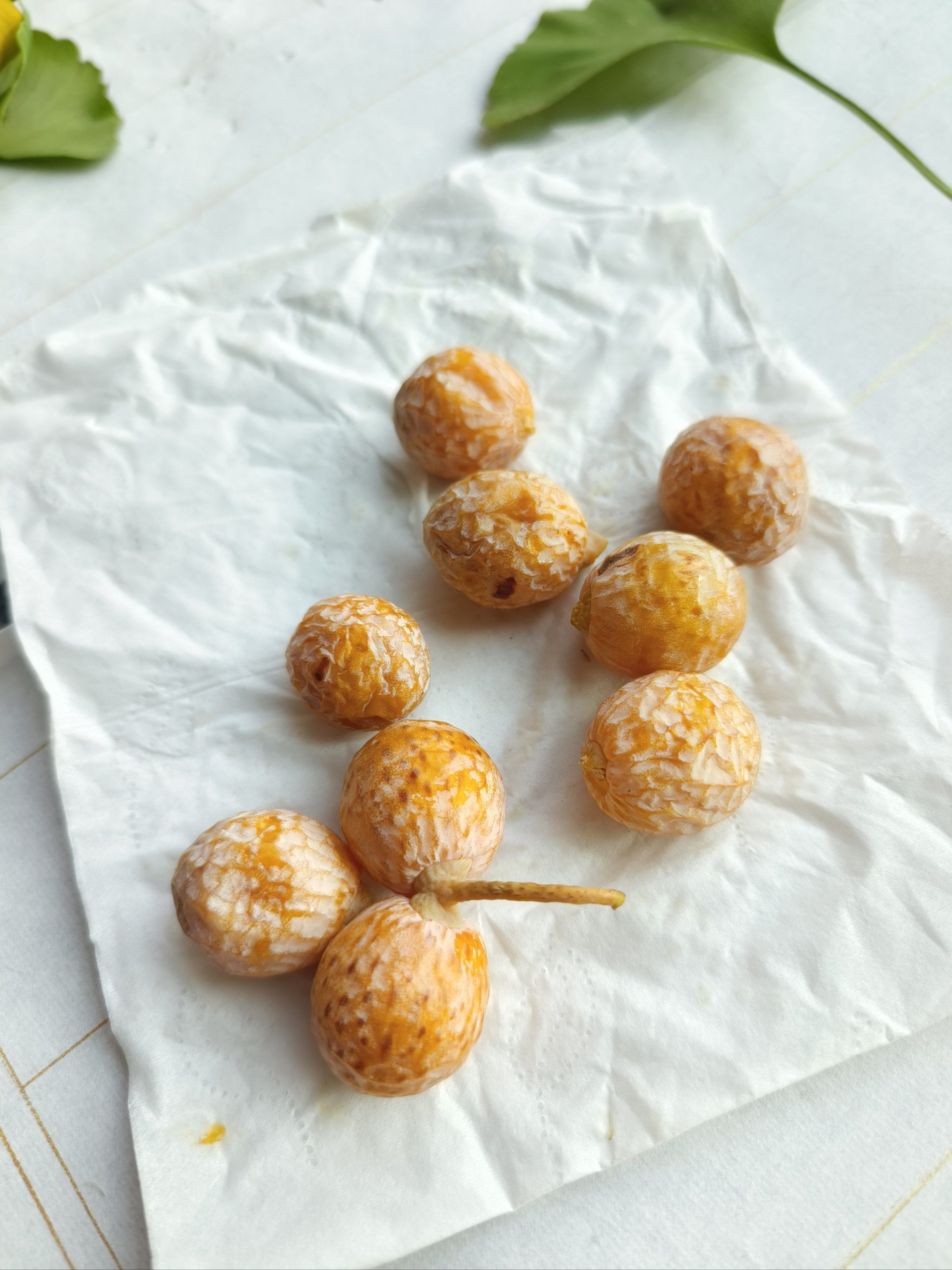 银杏果蜂蜜的正确食用方法视频(银杏果蜂蜜茶) 银杏果蜂蜜的正确食用方法视频(银杏果蜂蜜茶)