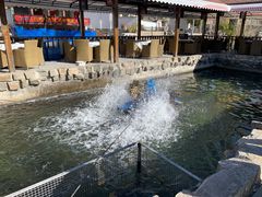 -京北渔家傲