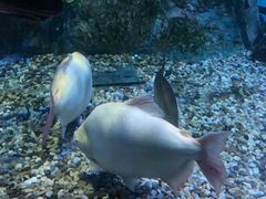 -正佳极地海洋世界