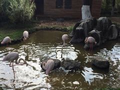 -昆明动物园