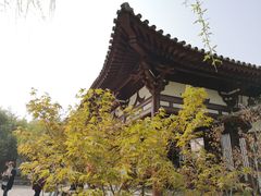 -西安青龙寺遗址景区