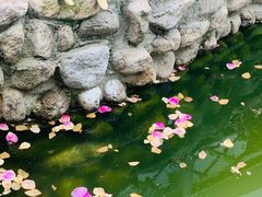 -荒度咖啡(北九水店)