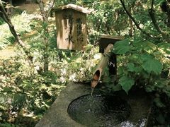 -三千院
