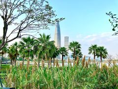 -深圳人才公园
