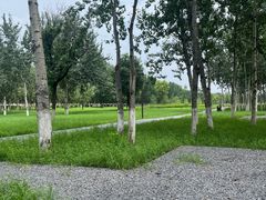 -汉长安城未央宫国家考古遗址公园