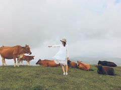 -大姆山草场