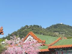 -珠海圆明新园